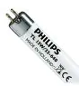 Philips T5 Short 13W - 640 Cool White | 52cm
